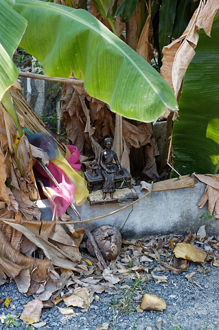 Prasat Mueang Thi-013